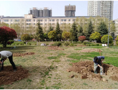 松山湖环湖路绿化工程招标