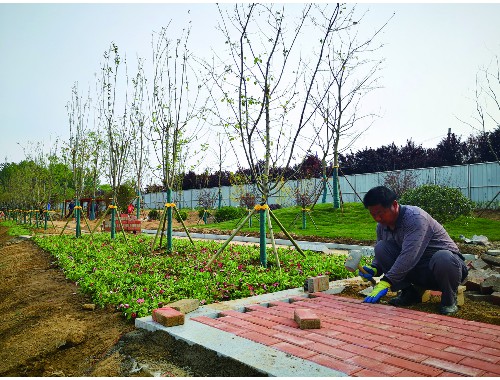 太原市怡胜景绿化工程有限公司