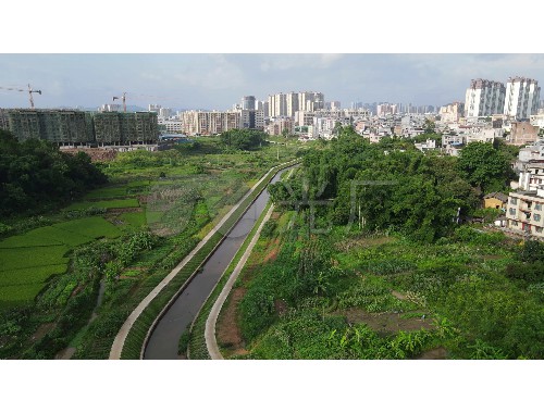 宝坻市政道路绿化